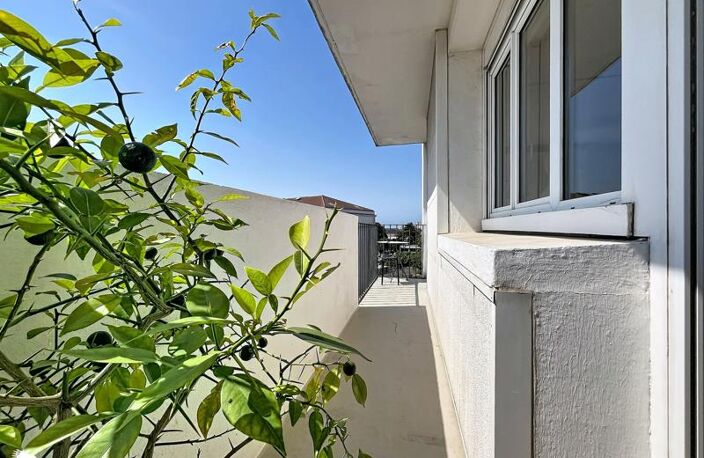 Appartement de 4 pièces principales — photo 2