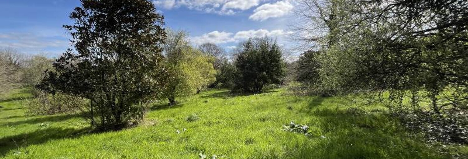 Maison 5 Pièces 125 m² à vendre à Langonnet (56630)