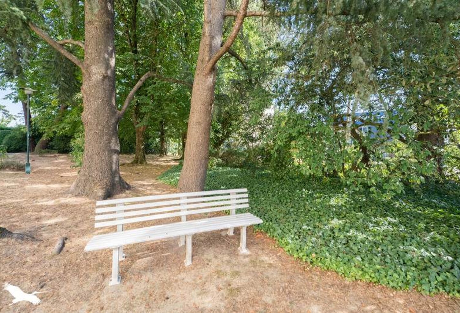 Appartement de 3 pièces principales — photo 1