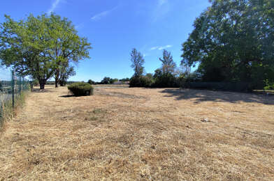 Terrain  65000 €