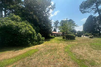 Terrain  380000 €