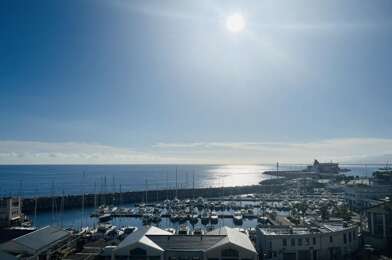 Appartement 2 pièces 835 €