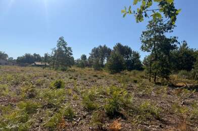 Terrain  150000 €