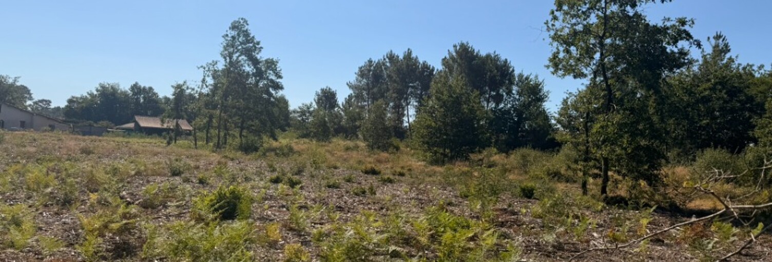 Terrain  1050 m² à vendre à Saint-Michel-de-Rieufret (33720)