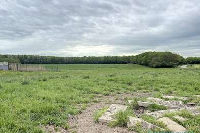 Terrain  46000 €