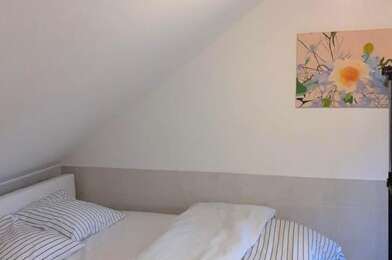 Appartement 1 pièces 750 €