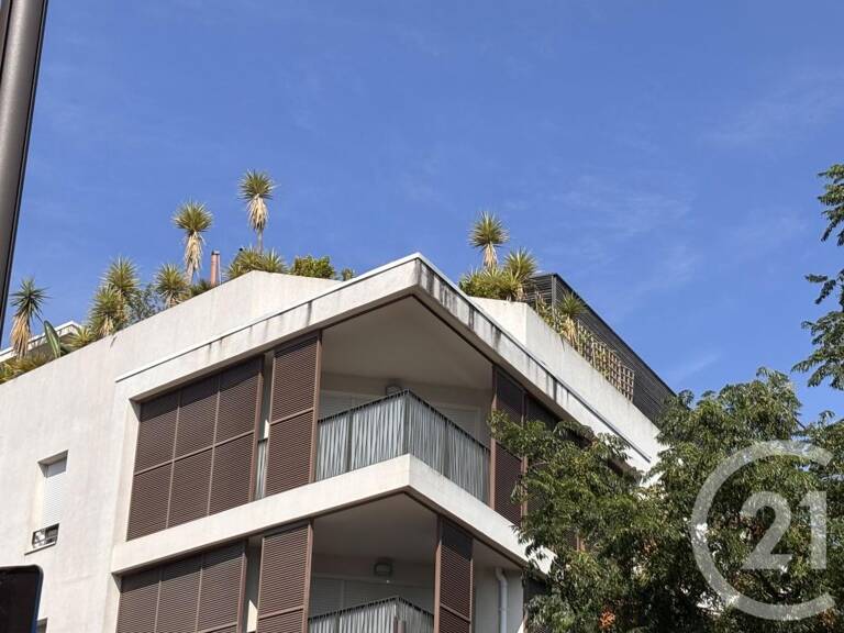 T3 — photo 1
