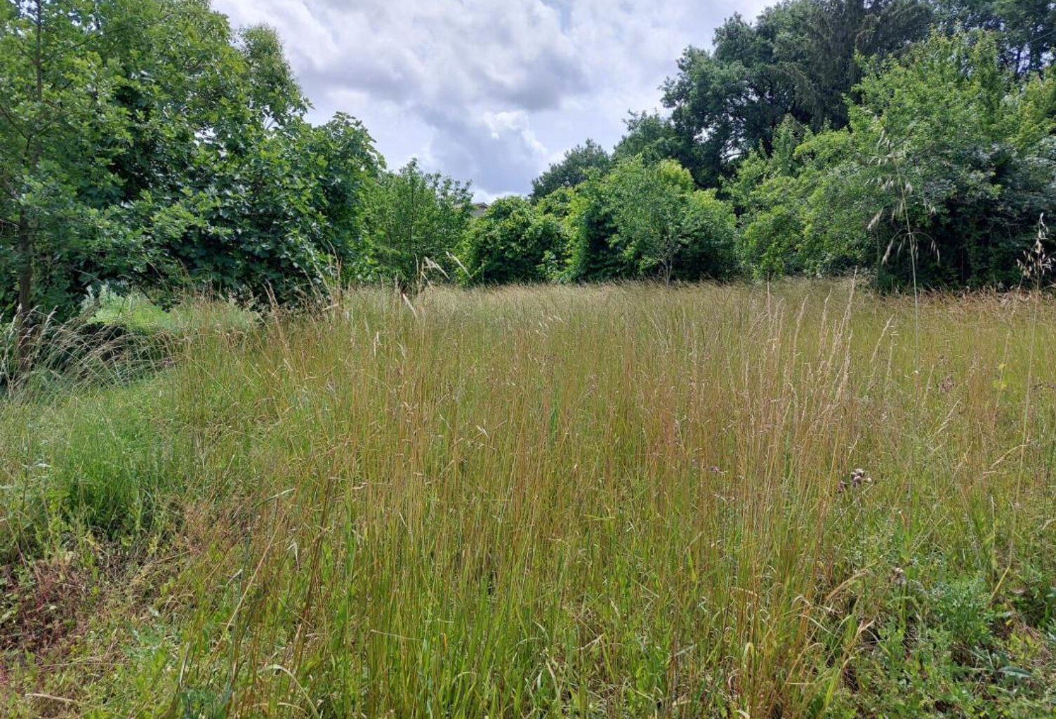 Terrain À Vendre — photo 1