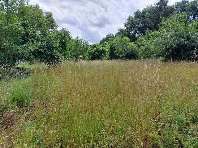 Terrain À Vendre — photo du bien