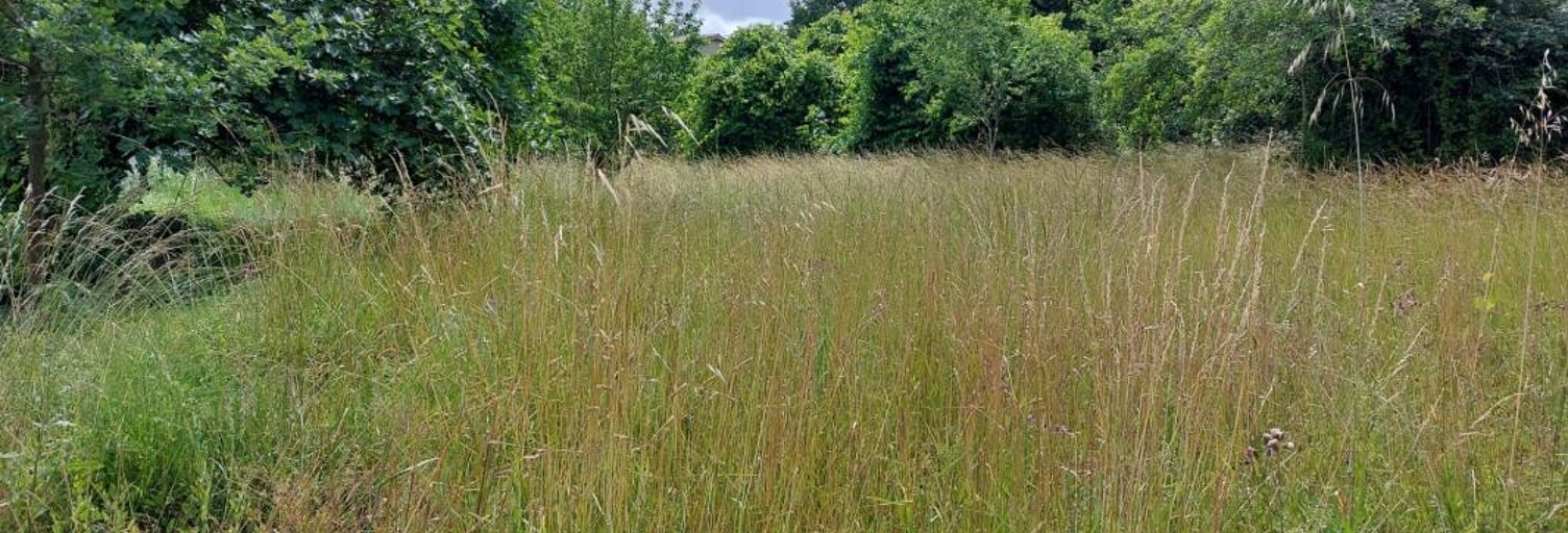 Terrain  1799 m² à vendre à Verdun-sur-Garonne (82600)