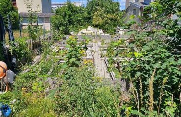 Terrain À Vendre — photo 4