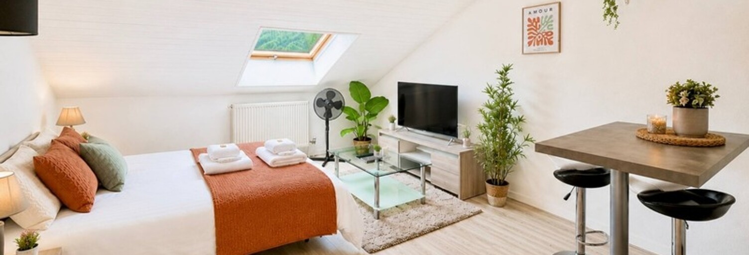 Appartement 1 Pièce 28 m² à vendre à Marignier (74970)