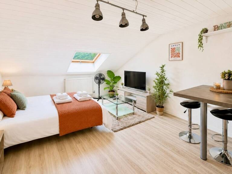 Appartement à vendre 1 pièces MARIGNIER (74) — photo 1