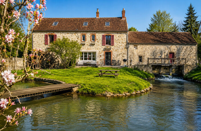 Moulin du XVII siècle dans un écrin de nature - 2 hectares avec étang — photo 2