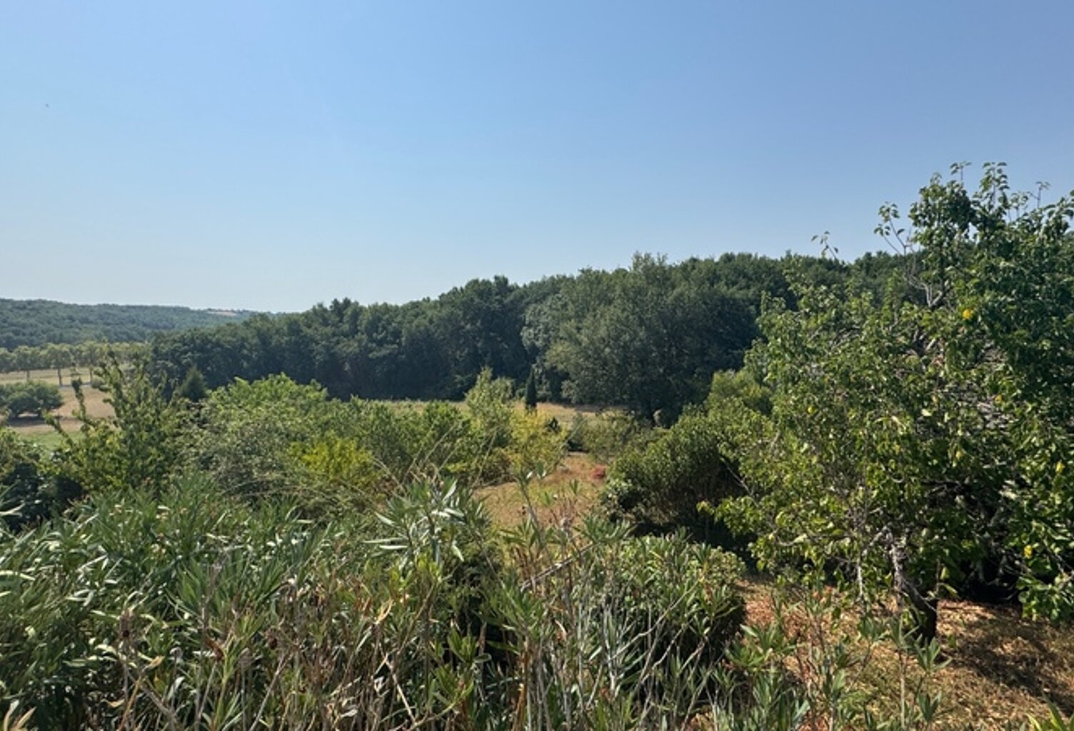 vente de Terrain à  ESTILLAC (47) — photo 1