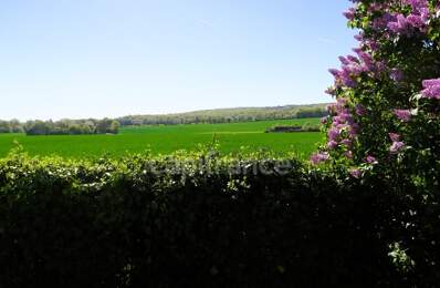 Entre CLOYES sur Le Loir et DROUÉ, Longère à vendre 4 pièces RUAN SUR EGVONNE (41) — photo du bien