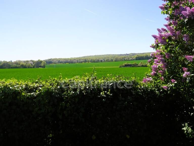 Entre CLOYES sur Le Loir et DROUÉ, Longère à vendre 4 pièces RUAN SUR EGVONNE (41) — photo 1