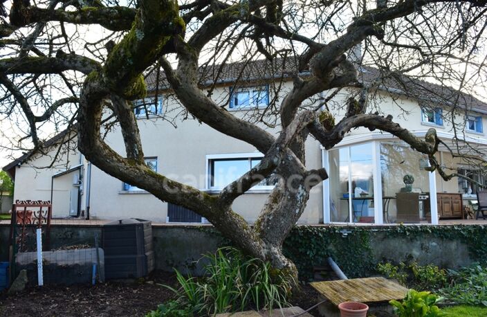 Dpt Cher (18), à vendre proche de NEVERS maison P8   Garage atelier, terrain batir — photo 3