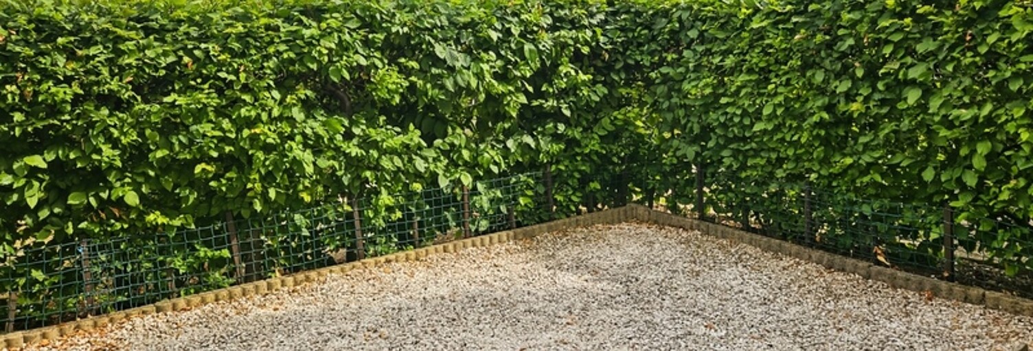 Photo N° 2