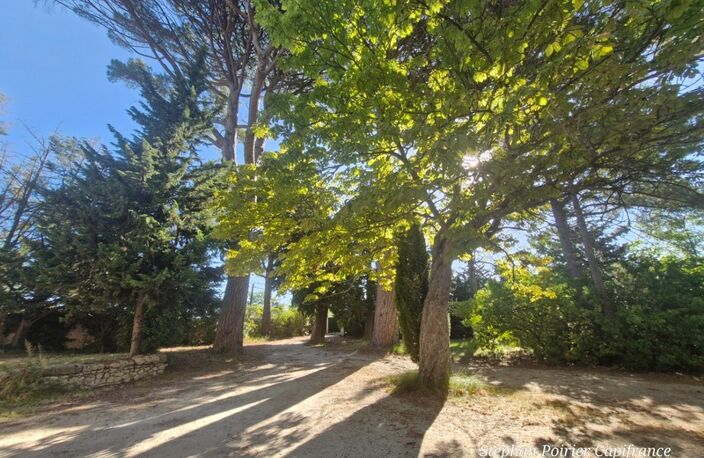 VELAUX – DOMAINE D'EXCEPTION DE 3,45 HECTARES AUX PORTES D'AIX-EN-PROVENCE — photo 5