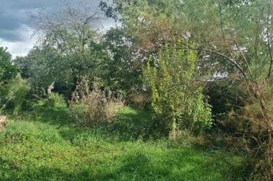 Terrain  99500 €