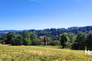 Terrain  40000 €