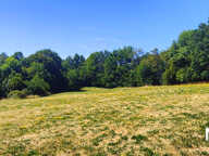 Superbe terrain 1 ha sur les hauteurs de Tulle — photo 4