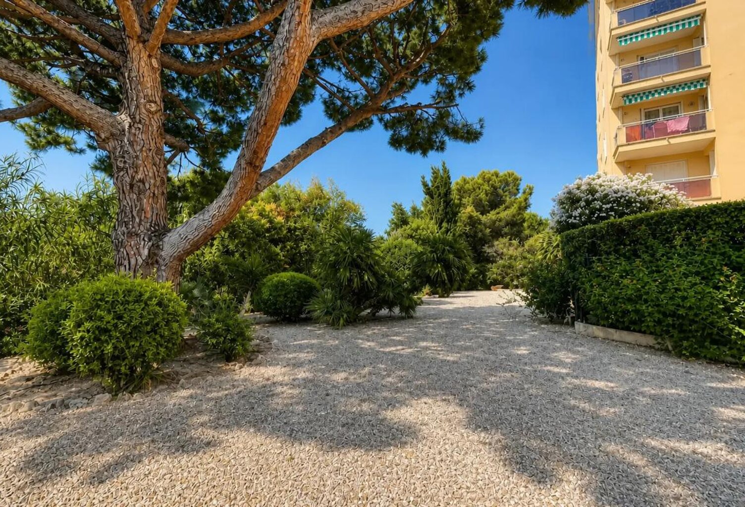 Studio de 23m2 proche Croisette à Cannes — photo 1