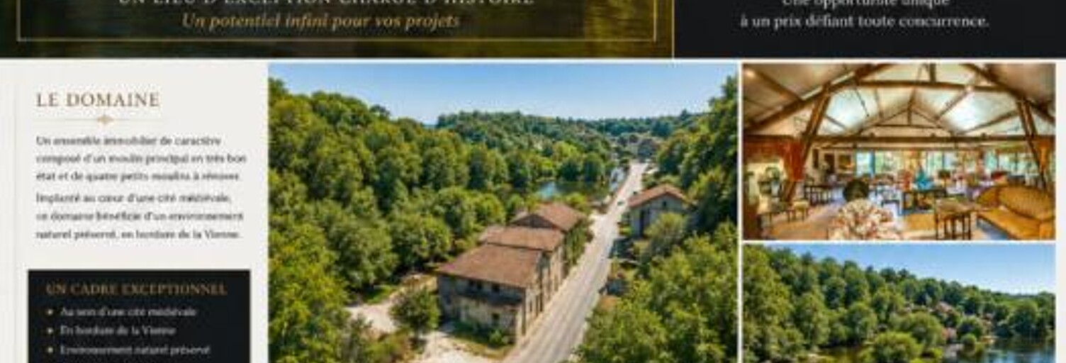 Maison 1 Pièce 1000 m² à vendre à Saint-Léonard-de-Noblat (87400)