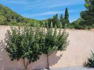 GRANDE VILLA DE PLAIN PIED  T5 sur 1400 m² de terrain piscinable — photo 3