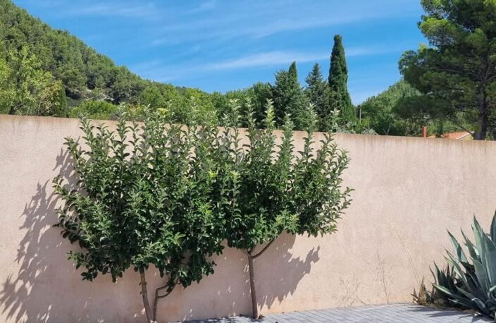 GRANDE VILLA DE PLAIN PIED  T5 sur 1400 m² de terrain piscinable — photo 3