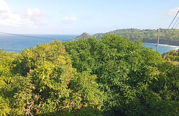 Immeuble Le Marigot  240 m2 — photo 2