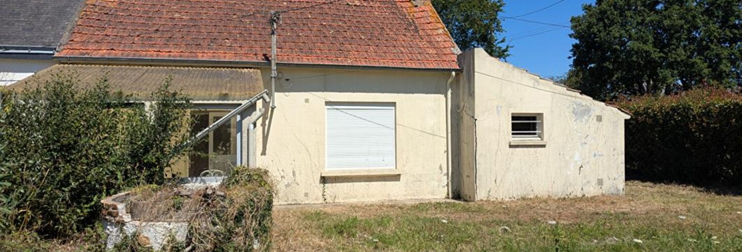 Photo N° 2