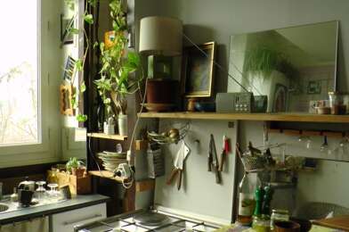 Appartement 1 pièces 351 €