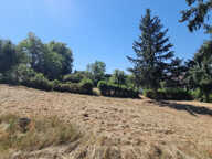 Pavillon de plain pied sans vis à vis ! — photo 3