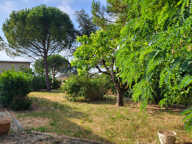 Lauzerville centre villa T4 sur 1077 m2 de terrain — photo 2
