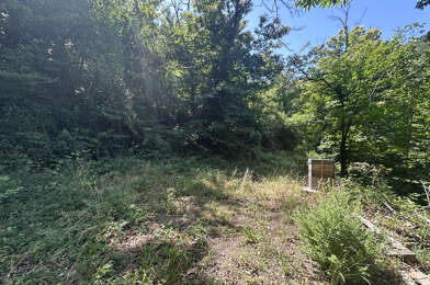 Terrain  49000 €