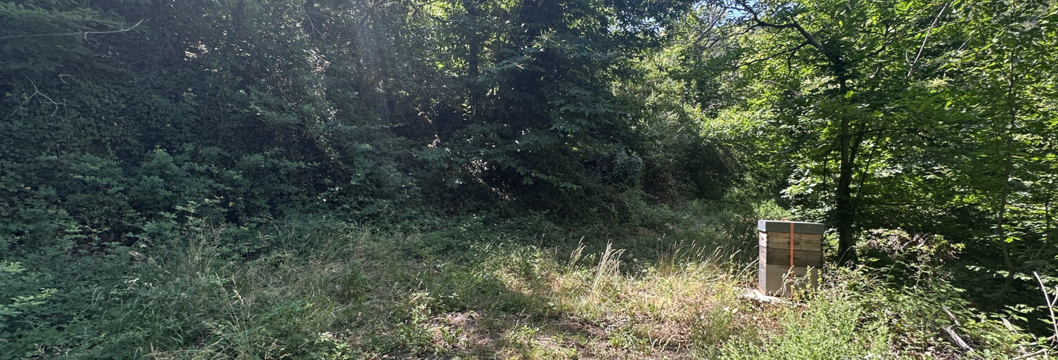 Terrain  17490 m² à vendre à Gonfaron (83590)