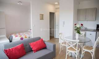 Appartement 1 Pièce 27 m² à louer à Albi (81000)