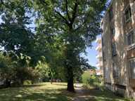 Saint Exupery - Appartement Type 2 — photo 2
