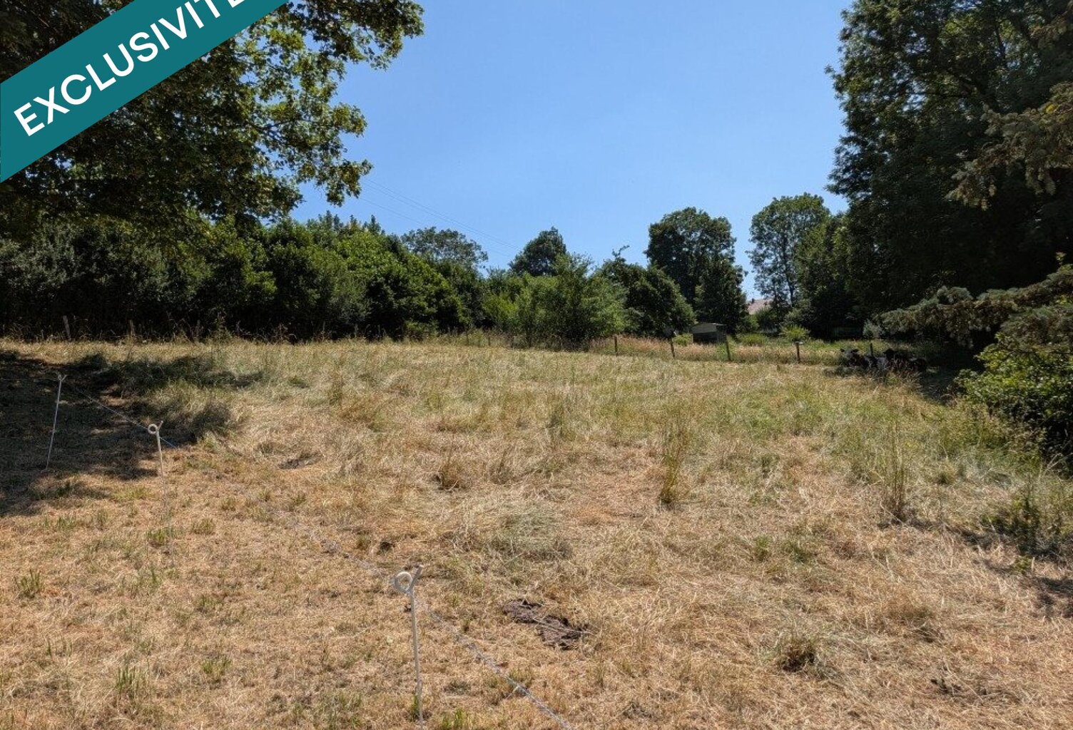 terrain constructible de 1393 m2 à CERNANS à 5 min de SALINS LES BAINS ( JURA) — photo 1