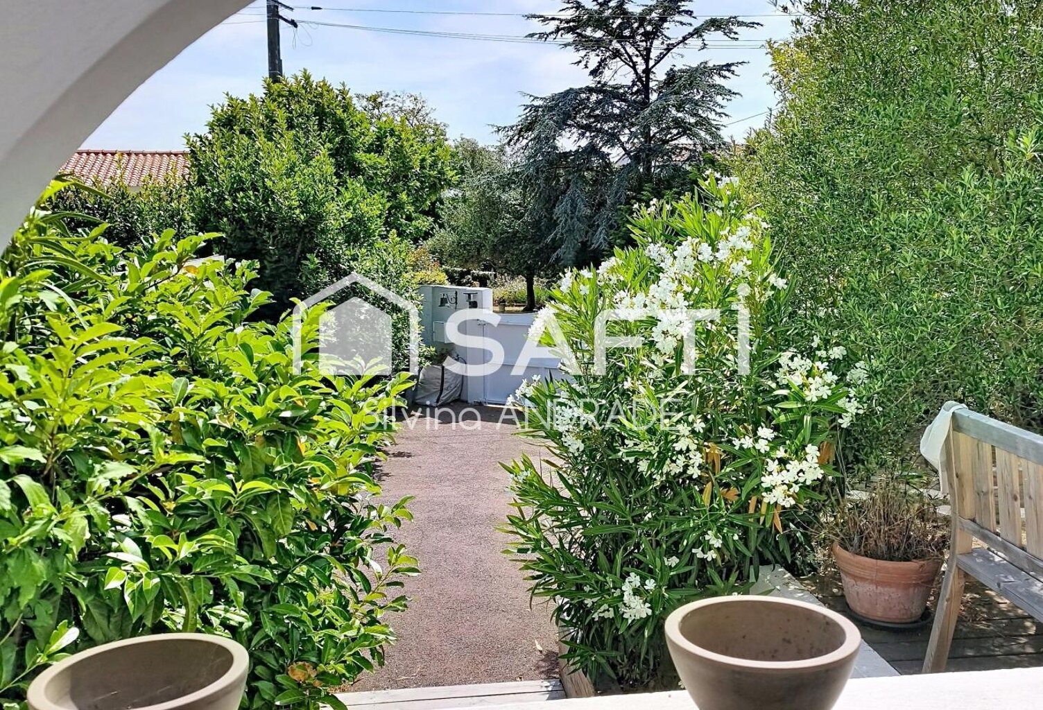 lumineux — photo 1