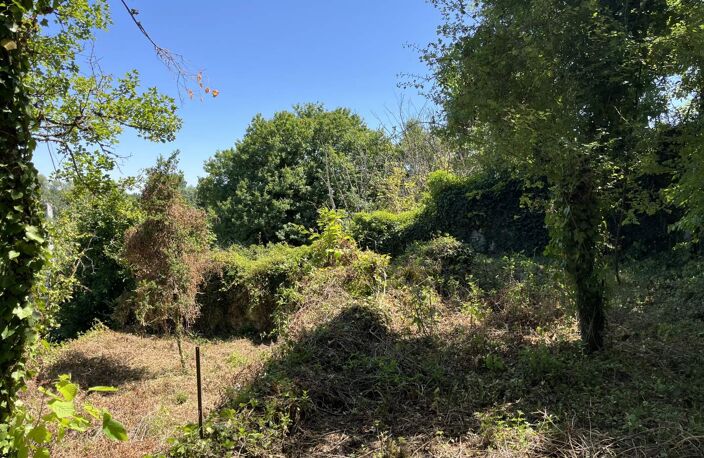 Vente divers  50 m² Loches (37600) — photo 4