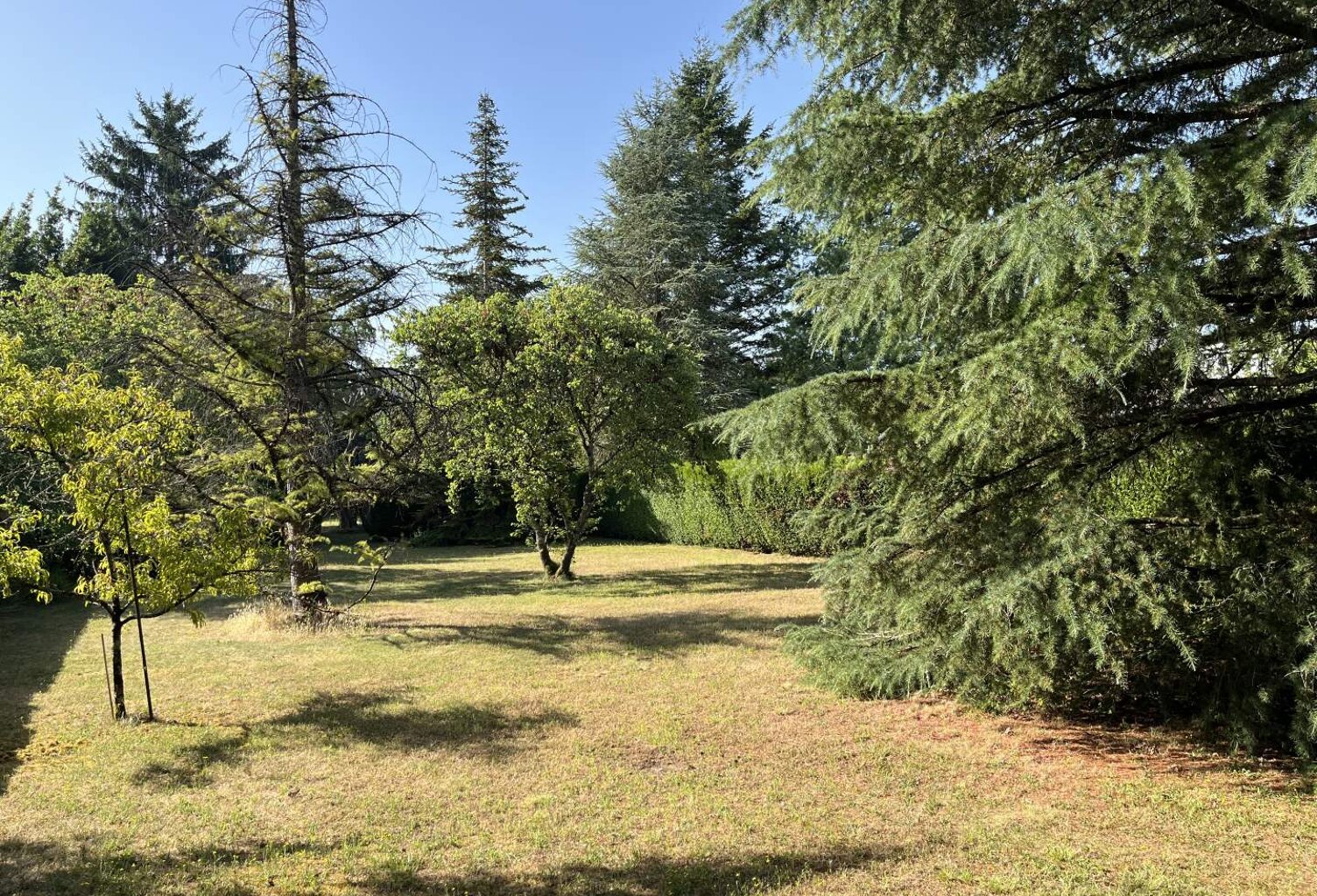 Vente terrain  130 m² Loches (37600) — photo 1