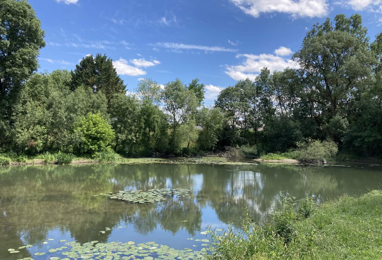 Vente terrain  4000 m² Reignac-sur-Indre (37310) — photo 1