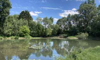 Terrain  4000 m² à vendre à Reignac-sur-Indre (37310)