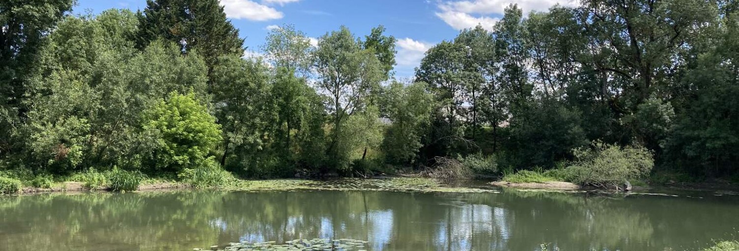 Terrain  4000 m² à vendre à Reignac-sur-Indre (37310)