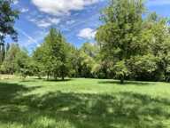 Terrain à construire  4000 m²  — photo 3