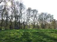 Terrain à construire  4000 m²  — photo 4