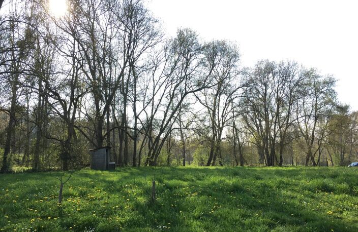 Vente terrain  4000 m² Reignac-sur-Indre (37310) — photo 4